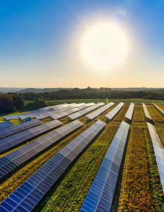 夜貓網絡-新能源領域公司官網設計開發的重要性