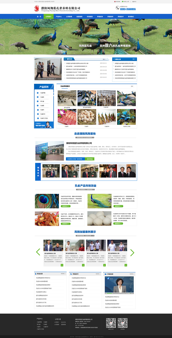 藍孔雀養殖|孔雀養殖|北京建站