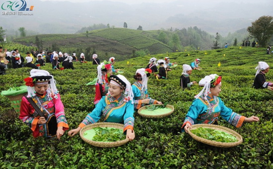疾病控制中心網站建設|北京網站制作