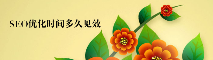 網(wǎng)站SEO排名優(yōu)化需要多長時間見效